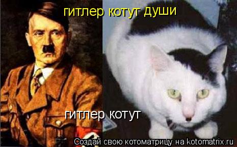 Котоматрица: гитлер котут гитлер котут души