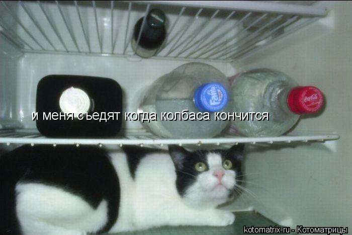 Котоматрица: и меня съедят когда колбаса кончится  и меня съедят когда колбаса кончится
