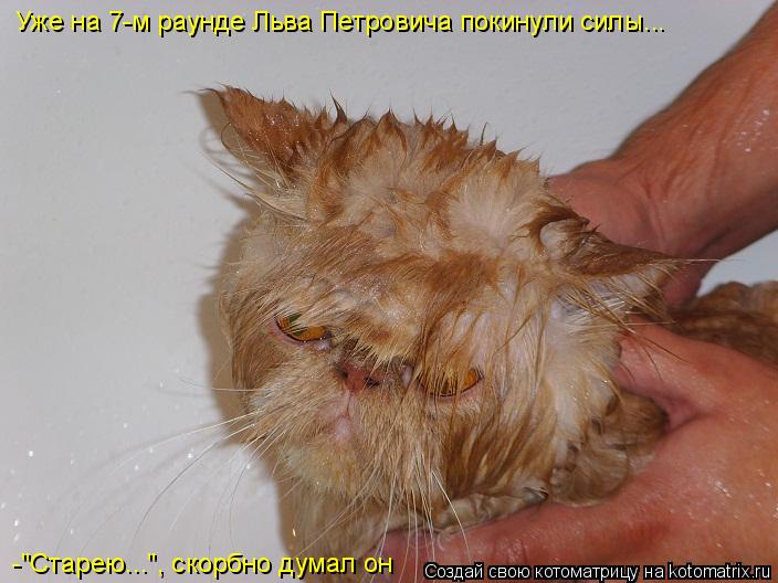 Уже на 7-м раунде Льва Петровича покинули силы... -"Старею...", скорбно думал он... Котоматрица: Уже на 7-м раунде Льва Петровича покинули силы... -"Старею...", скорбно думал он