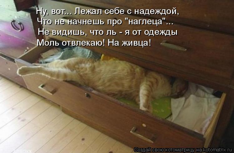 Котоматрица: Ну, вот... Лежал себе с надеждой, Что не начнешь про "наглеца"... Не видишь, что ль - я от одежды Моль отвлекаю! На живца!