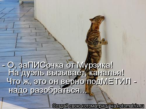 Котоматрица: - О, заПИСочка от Мурзика! На дуэль вызывает, каналья! Что ж, это он верно подМЕТИЛ -  надо разобраться...