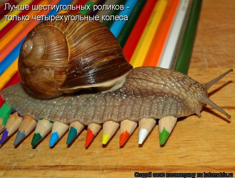 Лучше шестиугольных роликов - только четырехугольные колеса... Котоматрица: Лучше шестиугольных роликов - только четырехугольные колеса