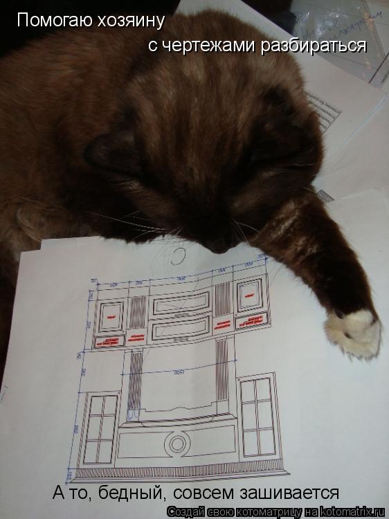 Котоматрица: Помогаю хозяину с чертежами разбираться А то, бедный, совсем зашивается