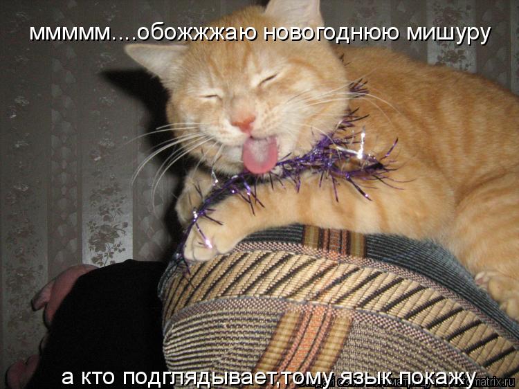 Котоматрица: ммммм....обожжжаю новогоднюю мишуру ммммм....обожжжаю новогоднюю мишуру а кто подглядывает,тому язык покажу