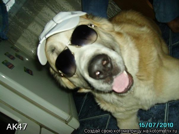 Котоматрица: AK47