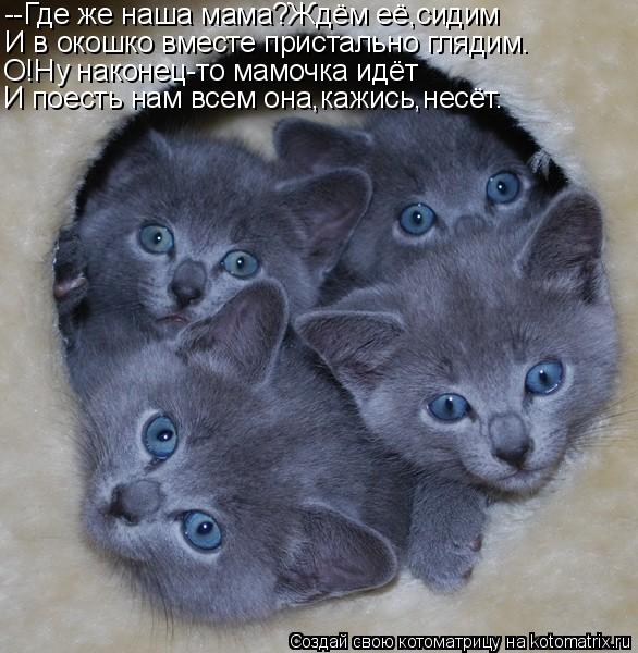 Котоматрица: --Где же наша мама?Ждём её,сидим И в окошко вместе пристально глядим. О!Ну наконец-то мамочка идёт И поесть нам всем она,кажись,несёт.