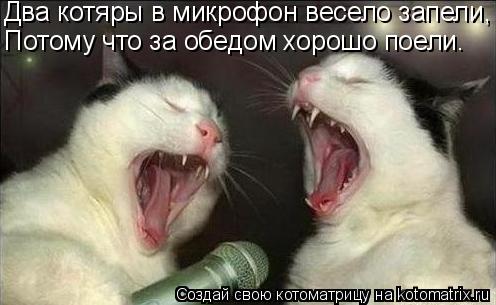 Котоматрица: Два котяры в микрофон весело запели, Потому что за обедом хорошо поели.
