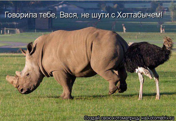 Котоматрица: Говорила тебе, Вася, не шути с Хоттабычем!