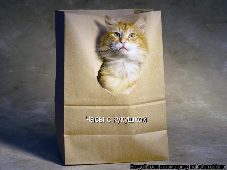 Котоматрица: Часы с кукушкой
