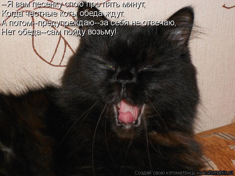 Котоматрица: --Я вам песенку спою про пять минут, Когда честные коты обеда ждут. А потом--предупреждаю--за себя не отвечаю, Нет обеда--сам пойду возьму!