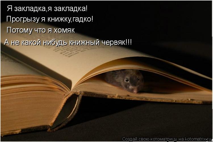 Котоматрица: Я закладка,я закладка! Прогрызу я книжку,гадко! Потому что я хомяк А не какой нибудь книжный червяк!!!