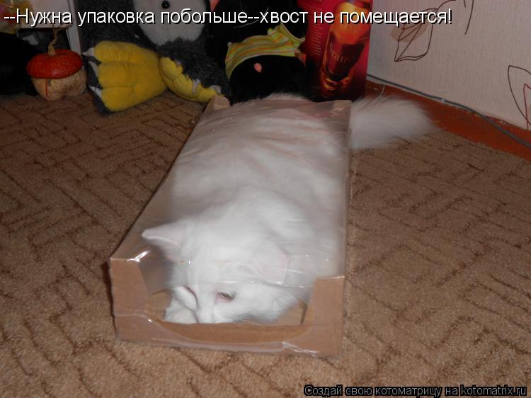 Котоматрица: --Нужна упаковка побольше--хвост не помещается!