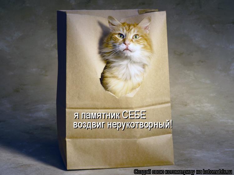 Котоматрица: я памятник СЕБЕ воздвиг нерукотворный!