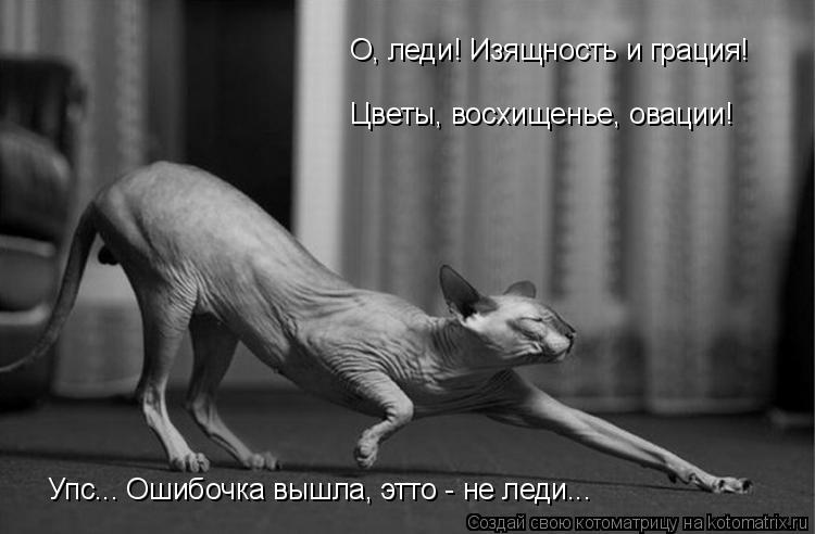 Котоматрица: О, леди! Изящность и грация! Цветы, восхищенье, овации! Упс... Ошибочка вышла, этто - не леди...