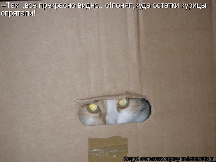 Котоматрица: --Так...всё прекрасно видно...о!понял,куда остатки курицы спрятали!
