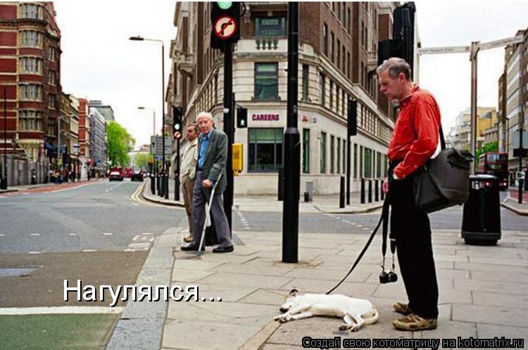 Котоматрица: Нагулялся...