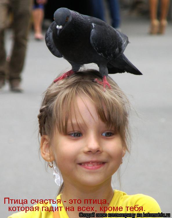 Котоматрица: Птица счастья - это птица,   которая гадит на всех, кроме тебя.