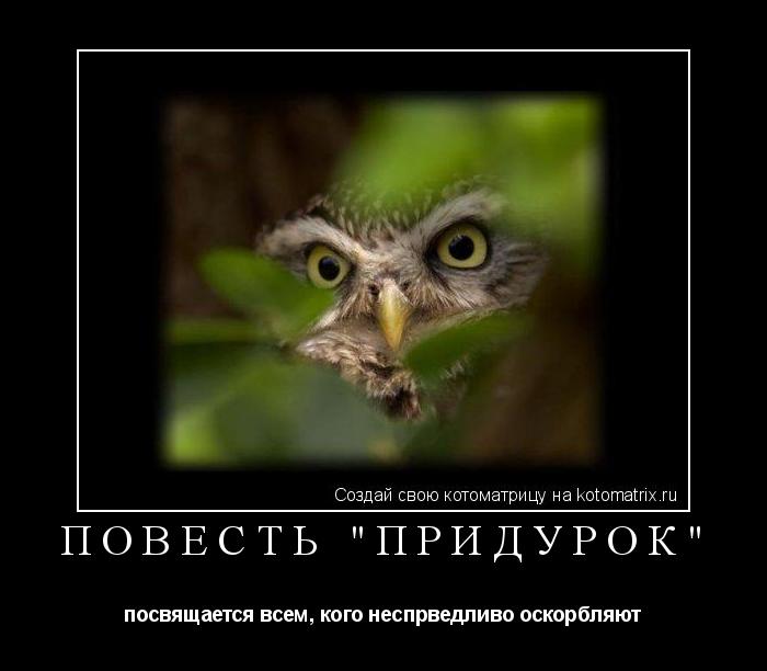 повесть "ПРИДУРОК" посвящается всем, кого неспрведливо оскорбляют... Котоматрица: повесть "ПРИДУРОК" посвящается всем, кого неспрведливо оскорбляют