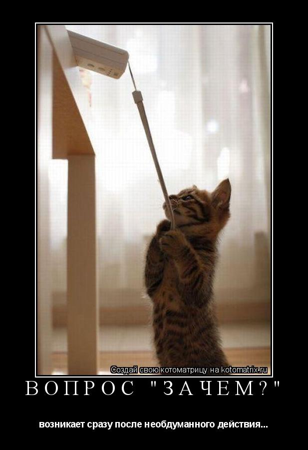 Котоматрица: вопрос "зачем?" возникает сразу после необдуманного действия...