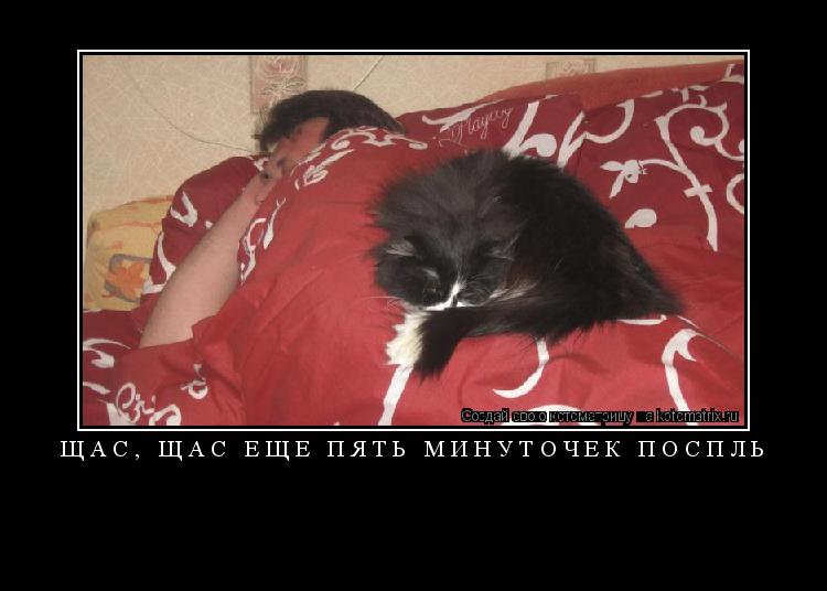 Котоматрица: Щас, щас ещё пять минуточек поспль 