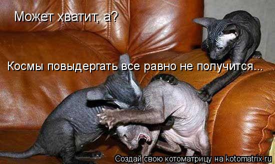 Котоматрица: Может хватит, а? Космы повыдергать все равно не получится...