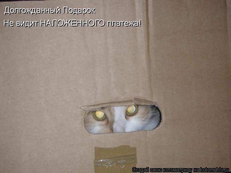 Котоматрица: Долгожданный Подарок Не видит НАЛОЖЕННОГО платежа!