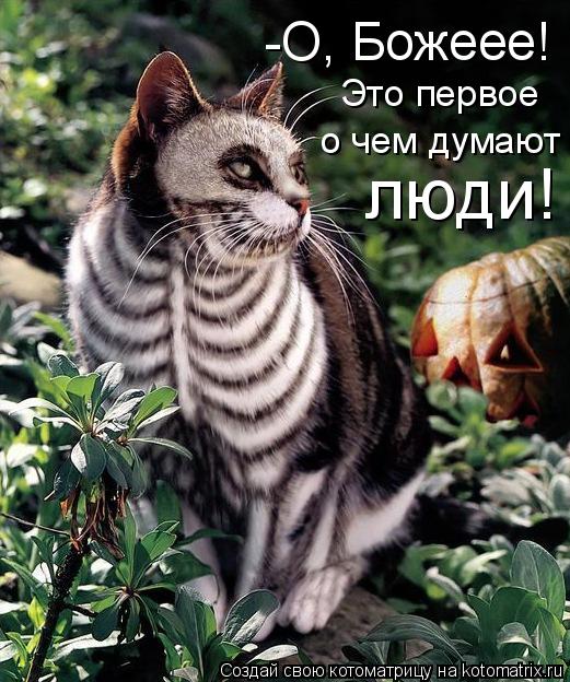 Котоматрица: -О, Божеее! Это первое о чем думают  люди!