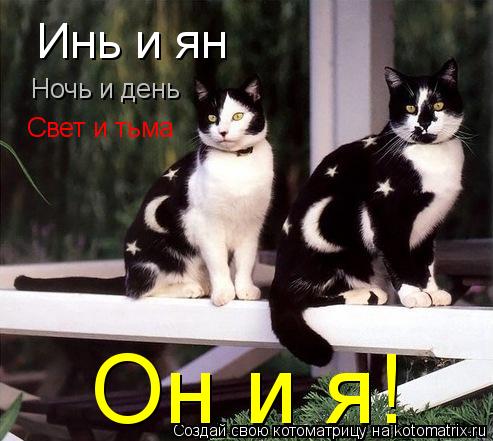 Котоматрица: Инь и ян Ночь и день Свет и тьма Он и я!