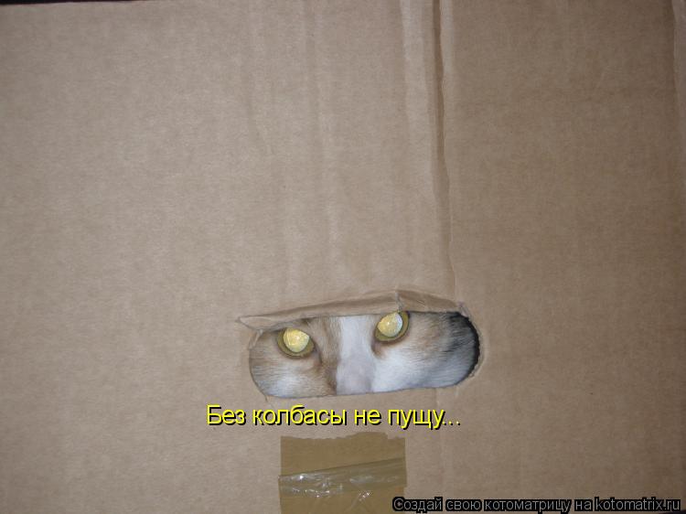 Без колбасы не пущу...... Котоматрица: Без колбасы не пущу...