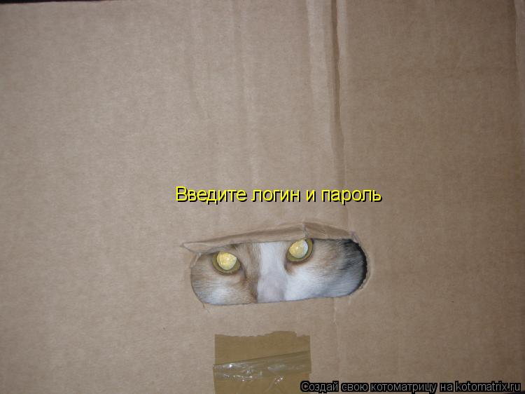 Котоматрица: Введите логин и пароль