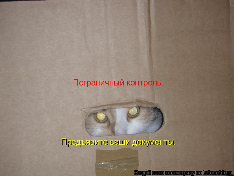 Предъявите ваши документы. Пограничный контроль.... Котоматрица: Предъявите ваши документы. Пограничный контроль.