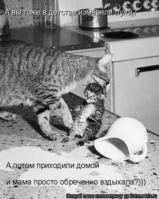 Котоматрица: А вы тоже в детстве измеряли лужи? А потом приходили домой  и мама просто обреченно вздыхала?)))