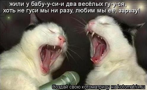 Котоматрица: жили у бабу-у-си-и два весёлых гу-у-ся, хоть не гуси мы ни разу, любим мы её, заразу!
