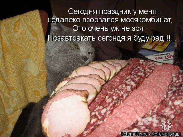 Котоматрица: Сегодня праздник у меня - недалеко взорвался мосякомбинат, Это очень уж не зря - Позавтракать сегондя я буду рад!!!