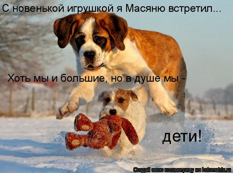 Котоматрица: С новенькой игрушкой я Масяню встретил... Хоть мы и большие, но в душе мы -  дети!