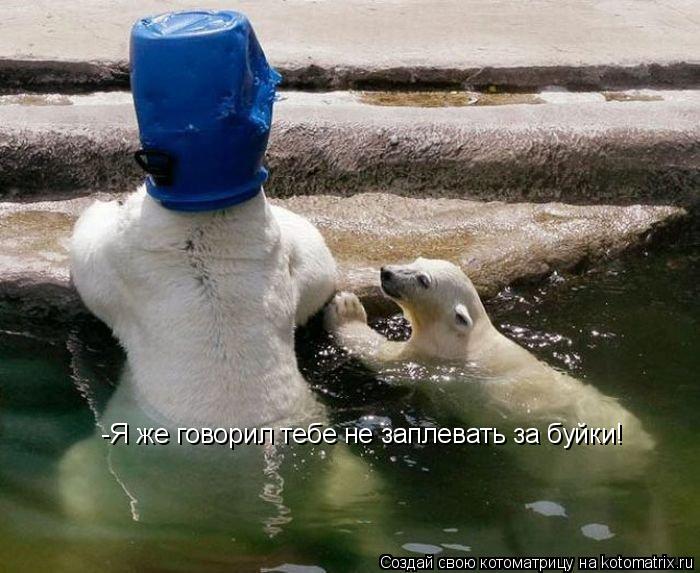 -Я же говорил тебе не заплевать за буйки!... Котоматрица: -Я же говорил тебе не заплевать за буйки!