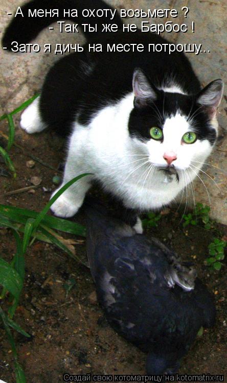 - А меня на охоту возьмете ? - Так ты же не Барбос ! - Зато я дичь на месте потрошу...... Котоматрица: - А меня на охоту возьмете ? - Так ты же не Барбос ! - Зато я дичь на месте потрошу...