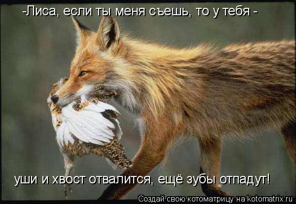-Лиса, если ты меня съешь, то у тебя - уши и хвост отвалится, ещё зубы отпадут!... Котоматрица: -Лиса, если ты меня съешь, то у тебя - уши и хвост отвалится, ещё зубы отпадут!