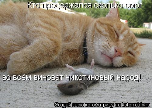 Кто продержался сколько смог, во всём виноват никотиновый народ!... Котоматрица: Кто продержался сколько смог, во всём виноват никотиновый народ!