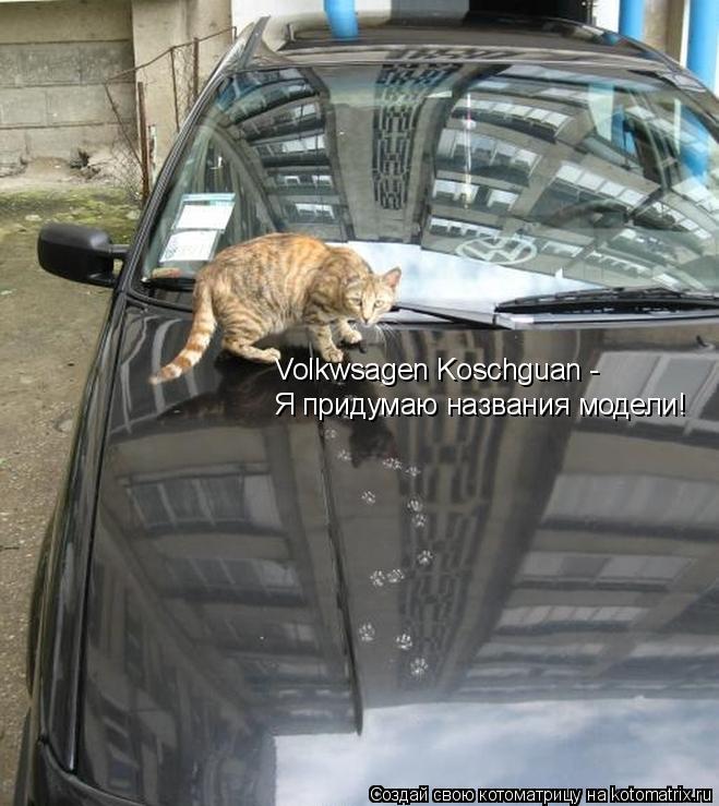 Котоматрица: Volkwsagen Koschguan -  Я придумаю названия модели!