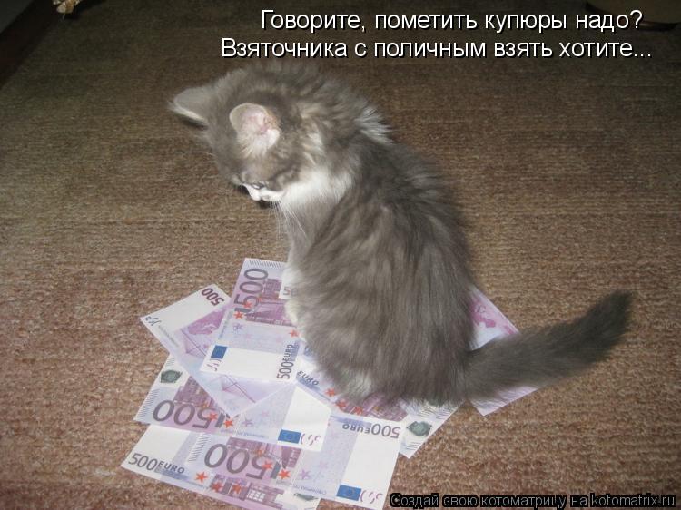 Котоматрица: Говорите, пометить купюры надо? Взяточника с поличным взять хотите...