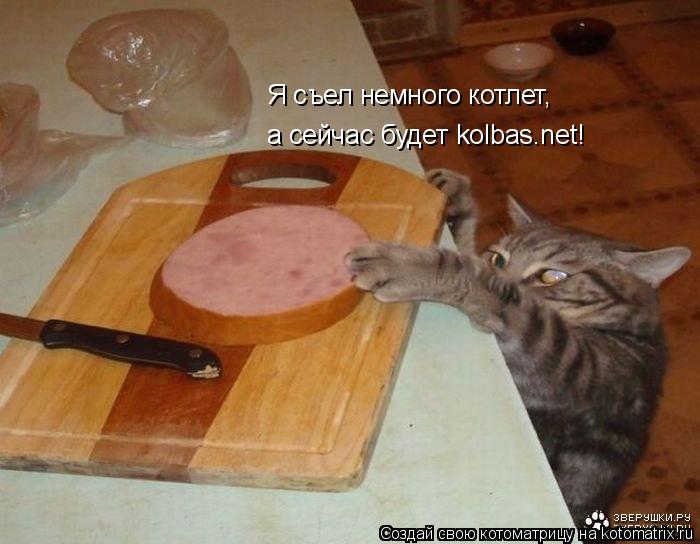 Котоматрица: Я съел немного котлет, а сейчас будет kolbas.net!