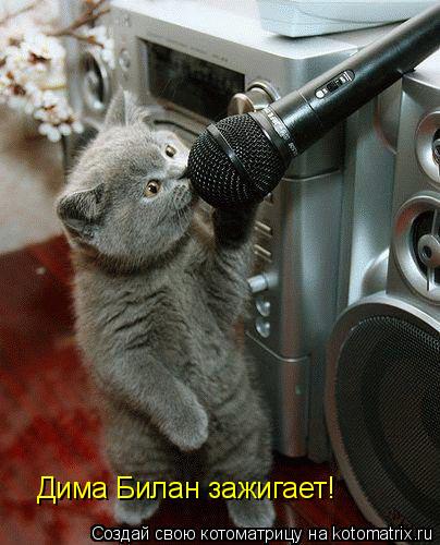 Котоматрица: Дима Билан зажигает!
