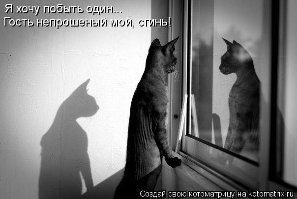 Котоматрица: Я хочу побыть один... Гость непрошеный мой, сгинь!