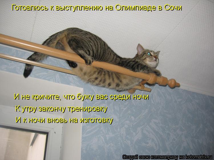Готовлюсь к выступлению на Олимпиаде в Сочи И не кричите, что бужу вас среди ночи К утру закончу трен... Котоматрица: Готовлюсь к выступлению на Олимпиаде в Сочи И не кричите, что бужу вас среди ночи К утру закончу тренировку И к ночи вновь на изготовку