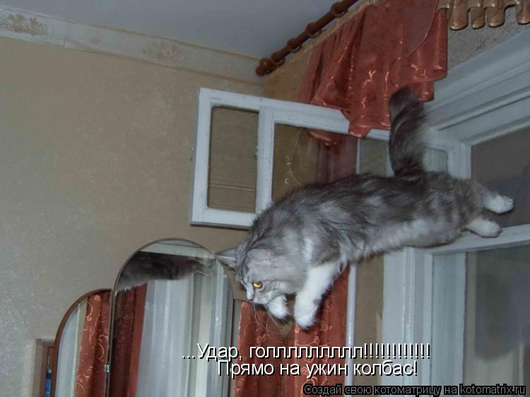 Котоматрица: ...Удар, голлллллллл!!!!!!!!!!!! Прямо на ужин колбас!