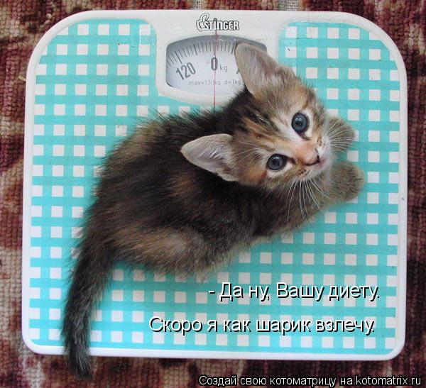 - Да ну, Вашу диету. Скоро я как шарик взлечу.... Котоматрица: - Да ну, Вашу диету. Скоро я как шарик взлечу.