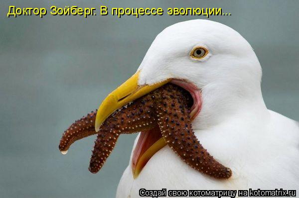 Котоматрица: Доктор Зойберг. В процессе эволюции...