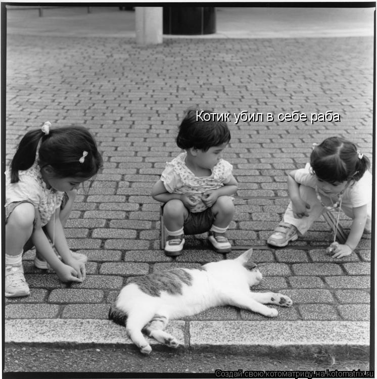 Котоматрица: Котик убил в себе раба