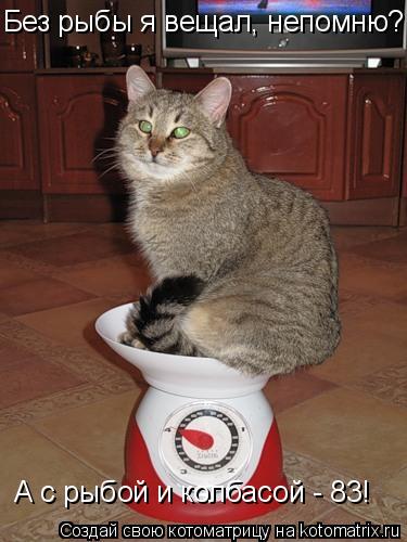 Котоматрица: Без рыбы я вещал, непомню? А с рыбой и колбасой - 83!